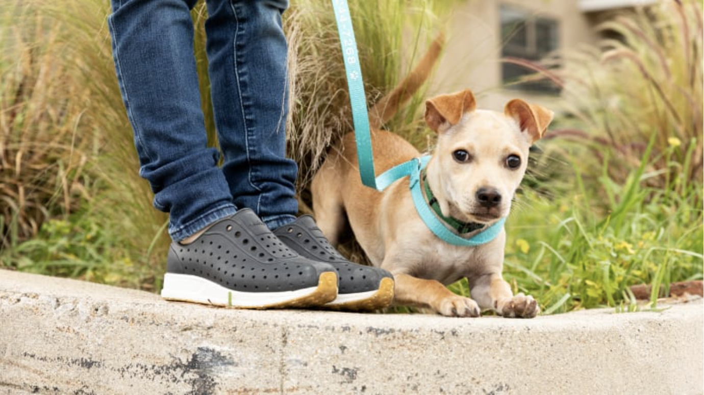 A shot of a child's feet wearing Native Kids' Shoes with a puppy dog.